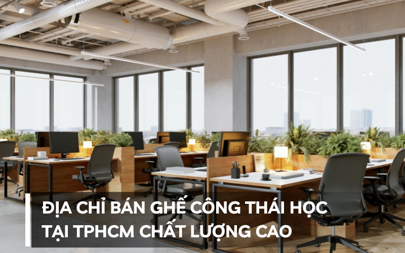 địa chỉ bán ghế công thái học tphcm